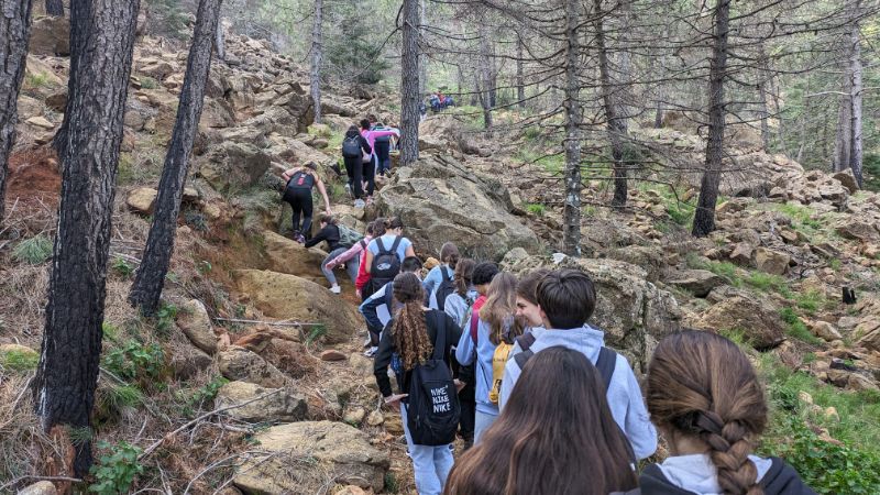 Imagen de WhatsApp 2024 02 07 a las 15.07.05 fbf93cba